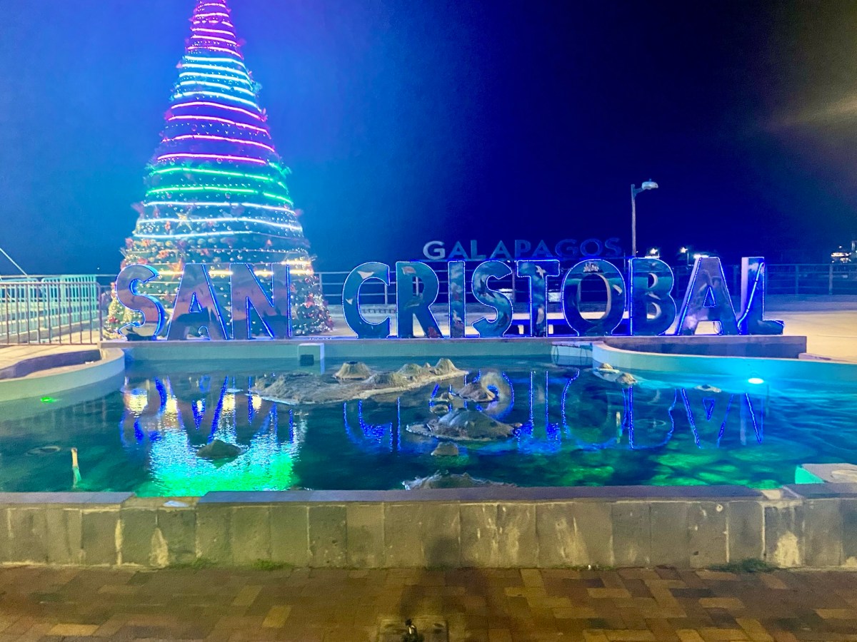 01JAN2022 – DAY 13: THE NEW YEAR’S&nbsp;GOODBYE